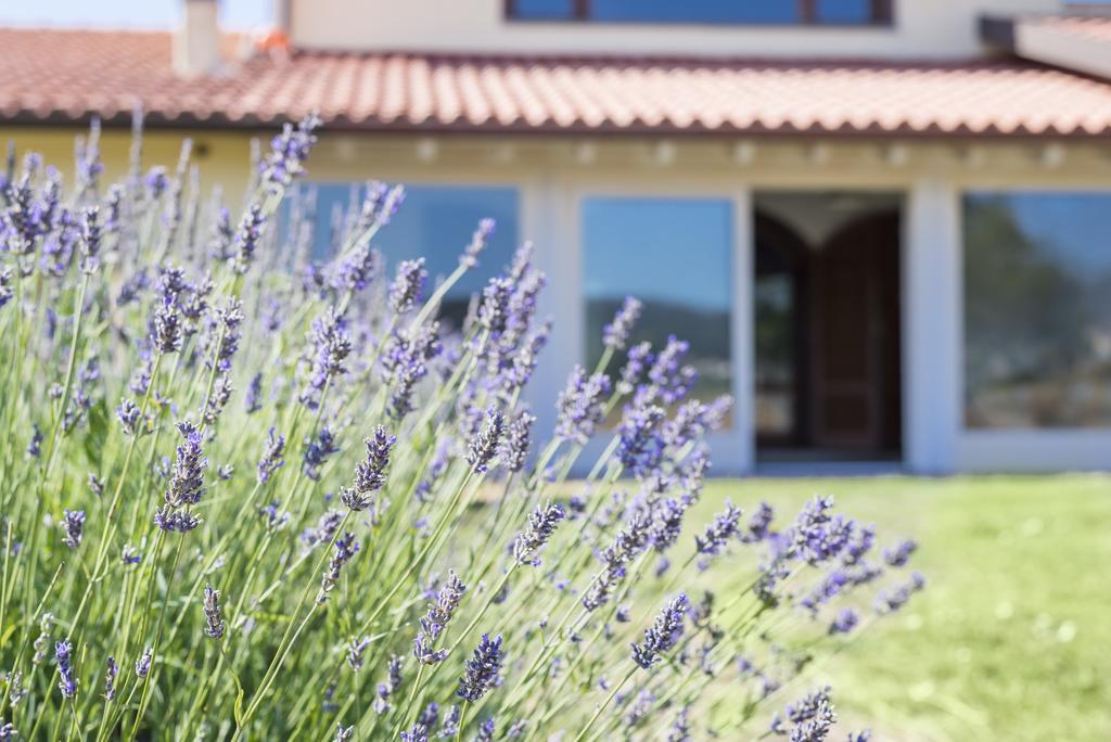Agriturismo Terre Di Castiglione Castiglione della Pescaia Luaran gambar