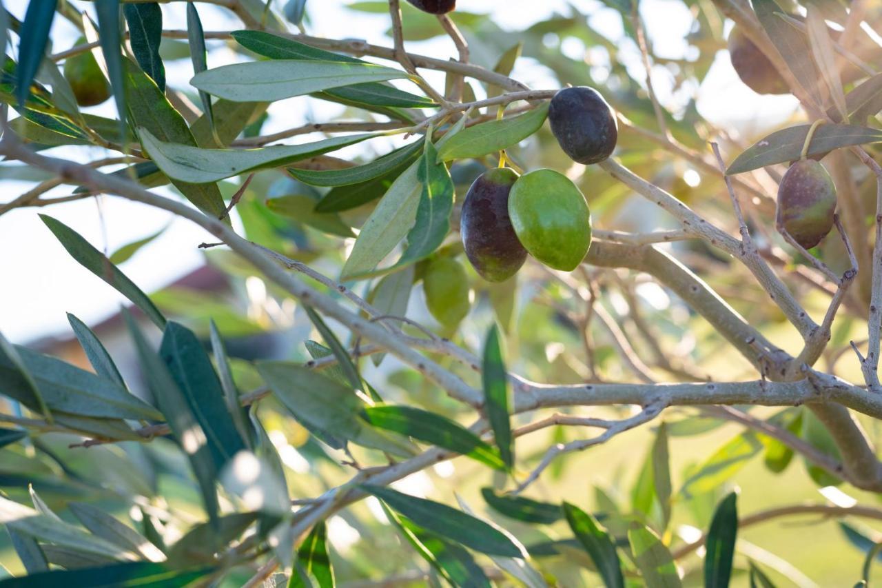 Agriturismo Terre Di Castiglione Castiglione della Pescaia Luaran gambar