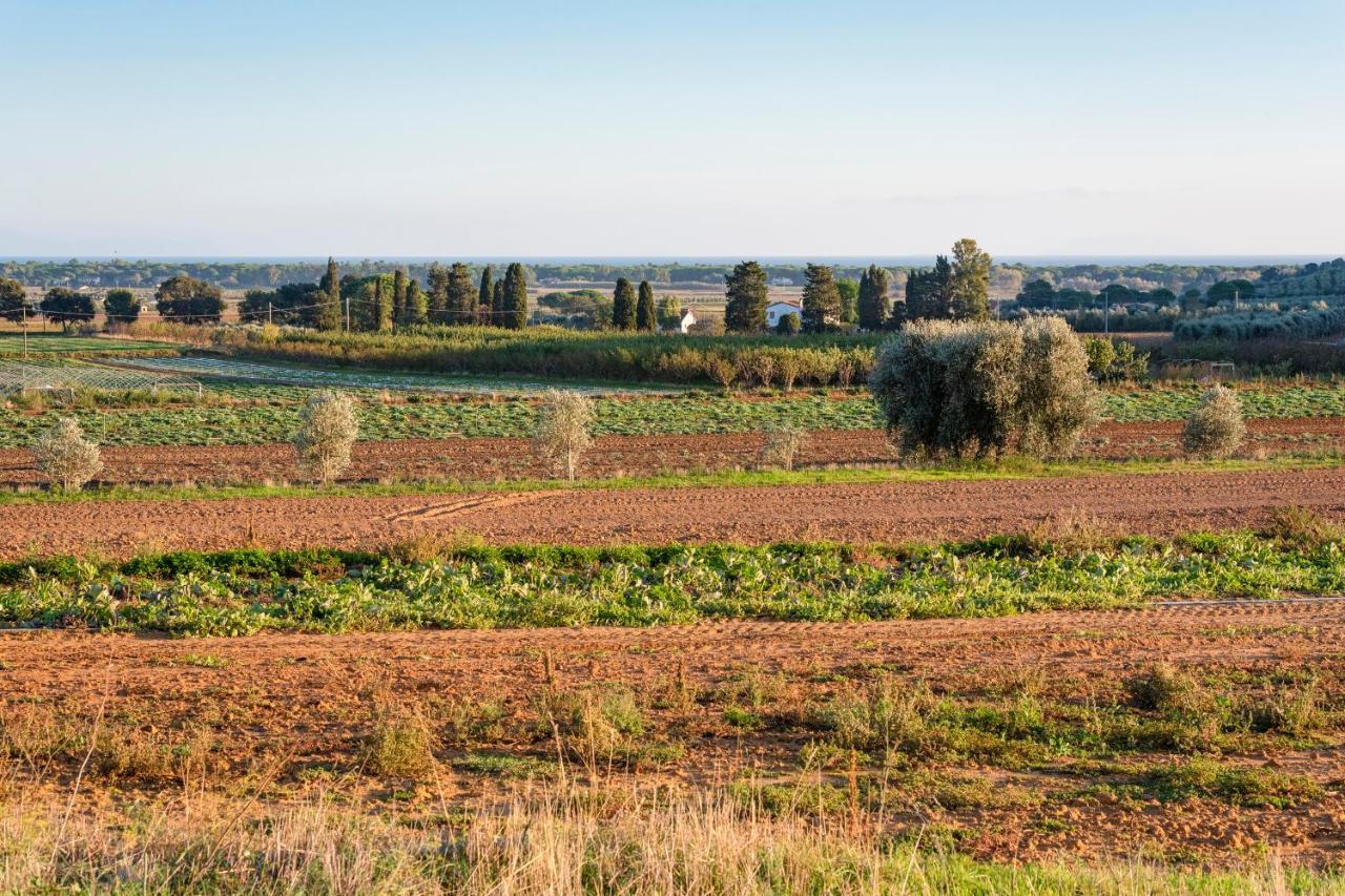 Agriturismo Terre Di Castiglione Castiglione della Pescaia Luaran gambar