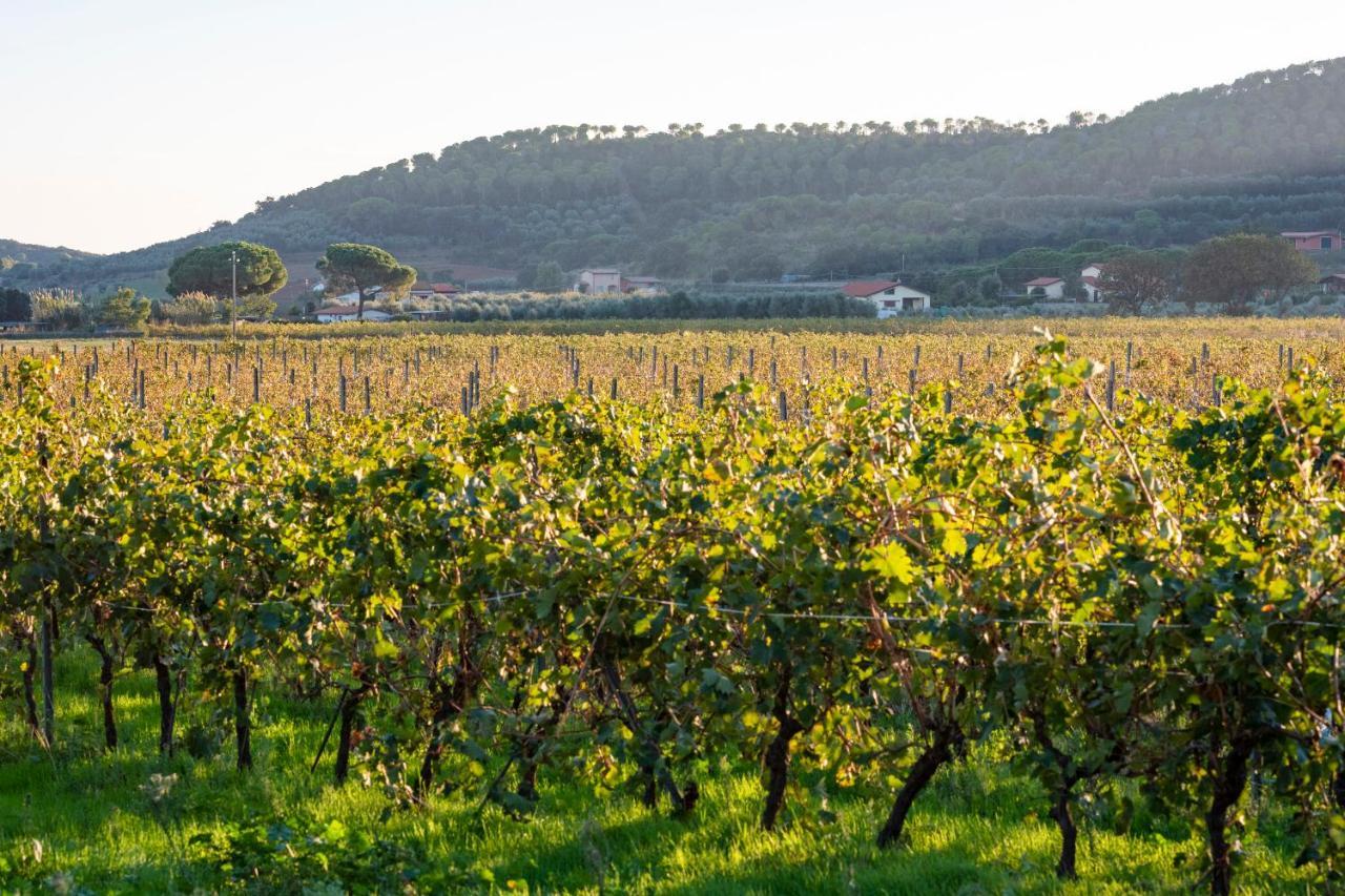 Agriturismo Terre Di Castiglione Castiglione della Pescaia Luaran gambar