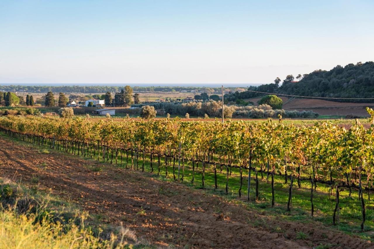 Agriturismo Terre Di Castiglione Castiglione della Pescaia Luaran gambar