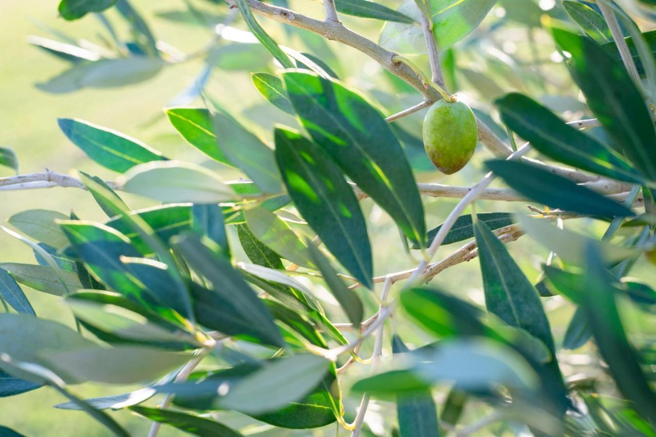 Agriturismo Terre Di Castiglione Castiglione della Pescaia Luaran gambar