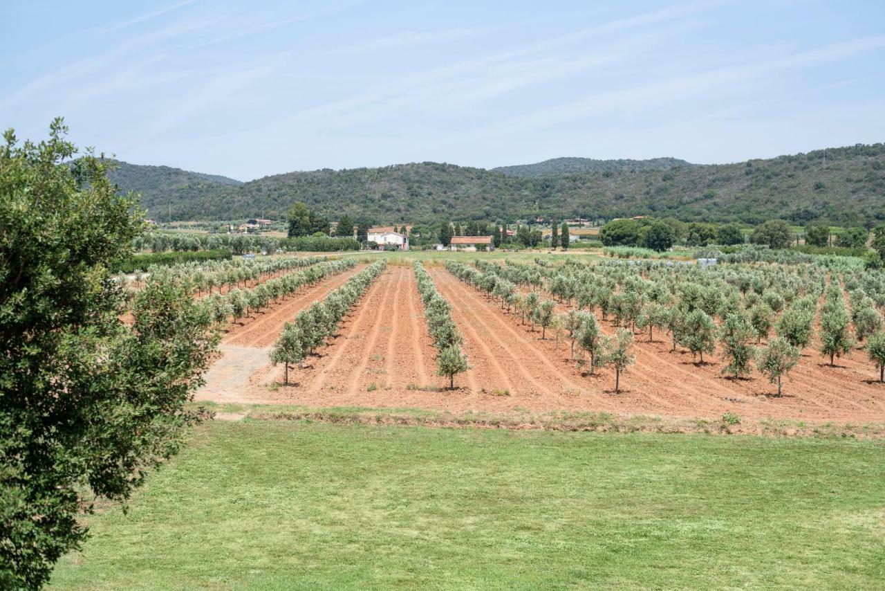 Agriturismo Terre Di Castiglione Castiglione della Pescaia Luaran gambar